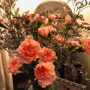 Meet your Posher, Tseday